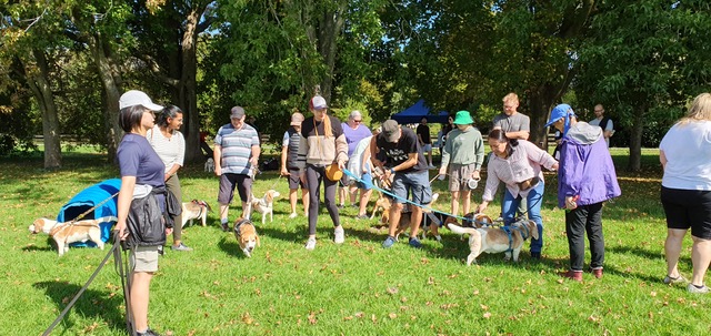 Annual Fun Day & Walk - Taumanu Reserve, Onehunga - 29 March 2026 