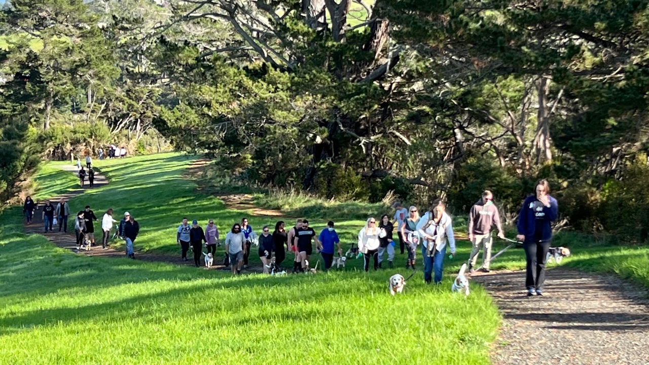  Beagle Walk - Boyd Park, Te Aroha - Sunday, 8 September 2024 